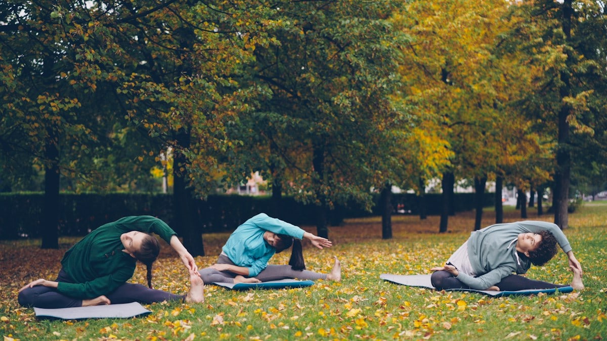 Good-looking sportswomen are doing stretching exercises sitting on yoga mats in city park at autumn weekend. Leisure activity, common hobby and youth concept.